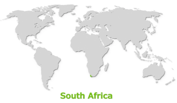 Origin South Africa